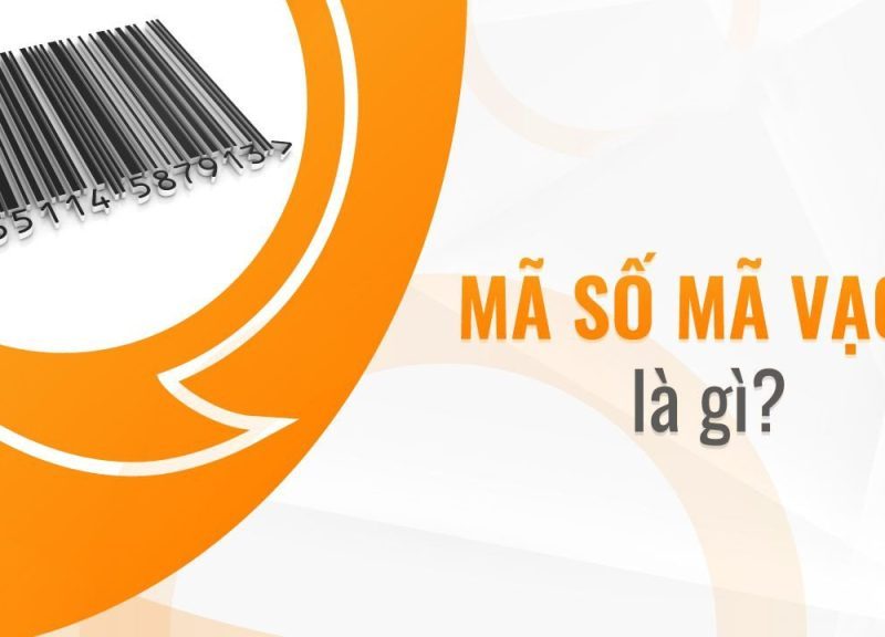 MÃ SỐ MÃ VẠCH